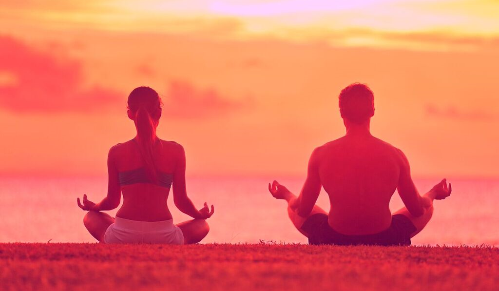 Seycat Live Like A Local