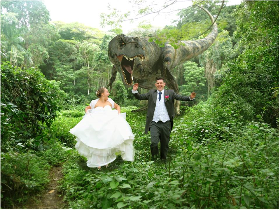 Infinite Filming-Wedding Video-Lincoln