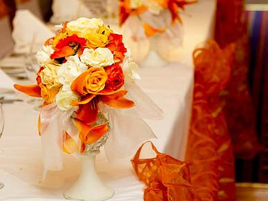 Cloud 9 Weddings & Events