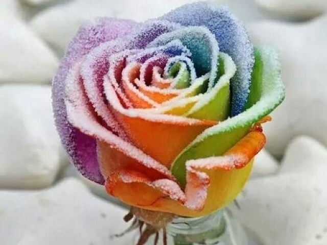 George Lesley Flowers