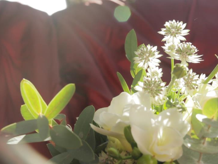 Union Wedding Videos