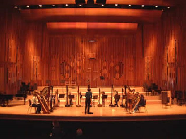 Professional Harpist