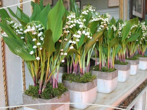 Elian Concept Weddings & Events