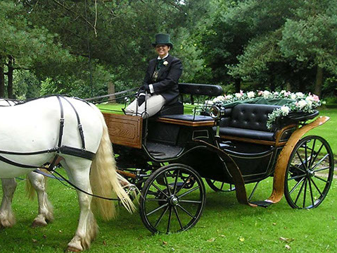 The Horse Drawn Carriage Company