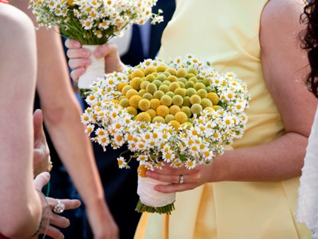 Wild About You Flowers