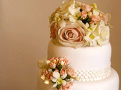 Goody's Cake Company