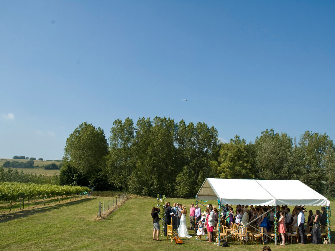 Highdown Vineyard