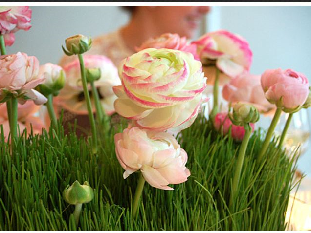 Stems Flower Gallery