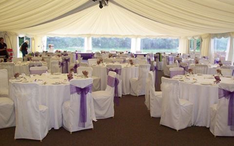 Christina's Chair Covers & Sashes