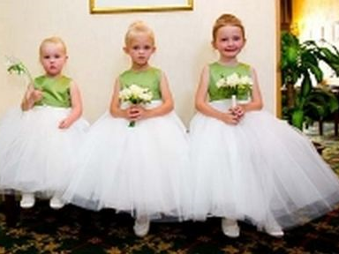 The Blossom Collection