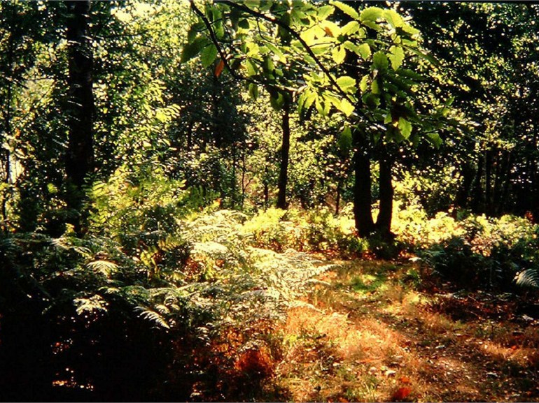 Nottinghamshire County Council