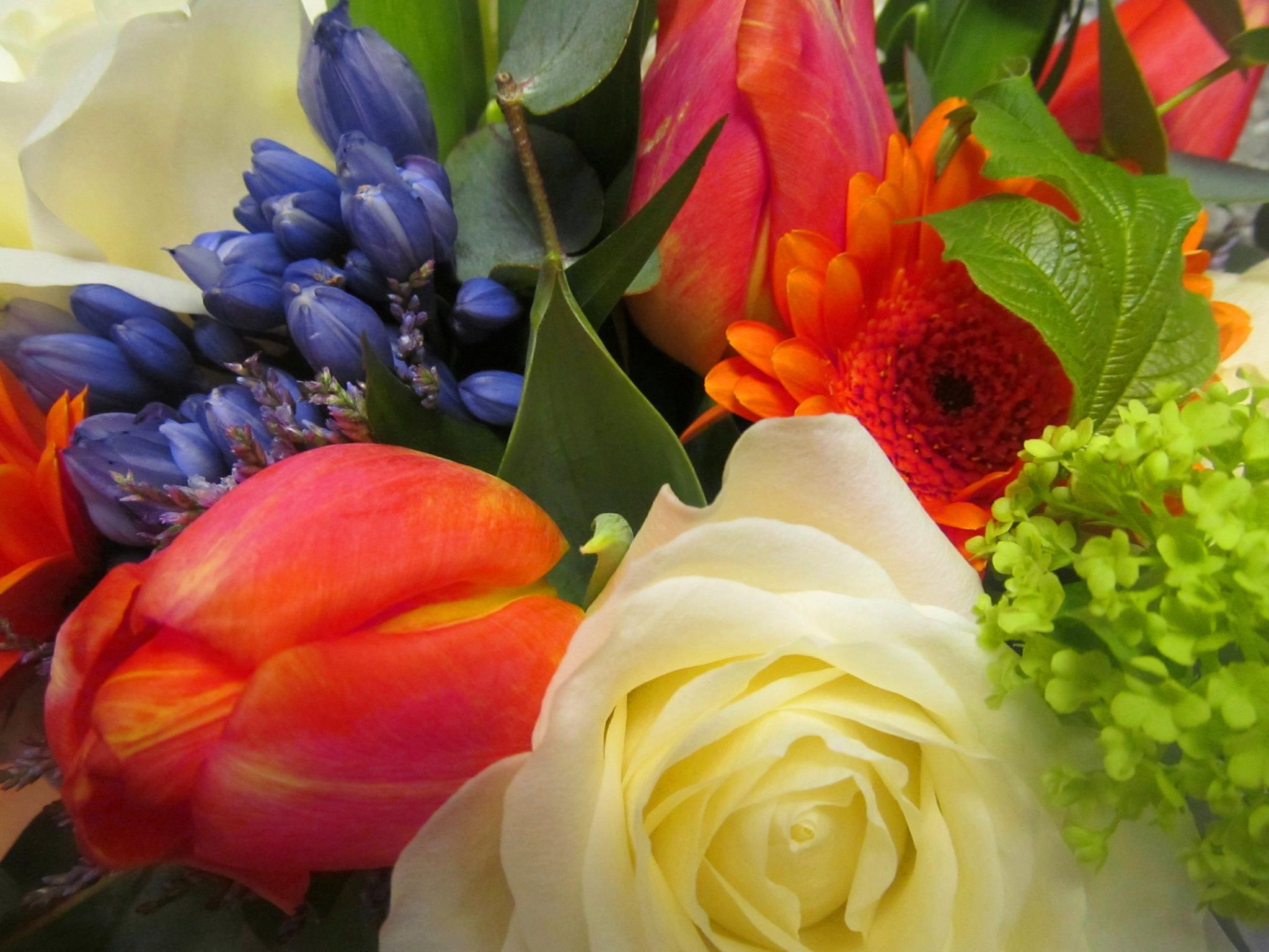 John Paul Florist and Flower School