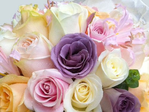 Tilly Tomlinson Flowers