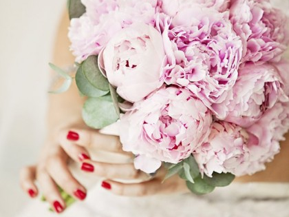 Lisa Aldersley Photography