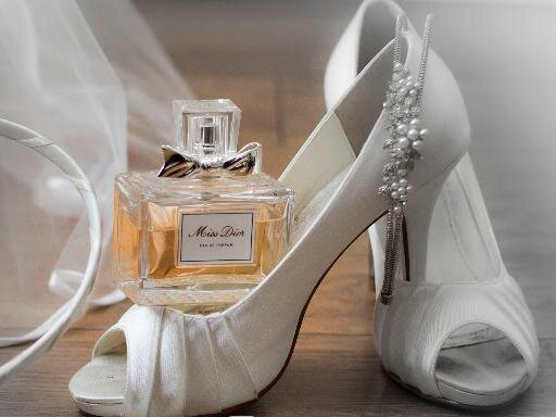 Sharon Ann Photography