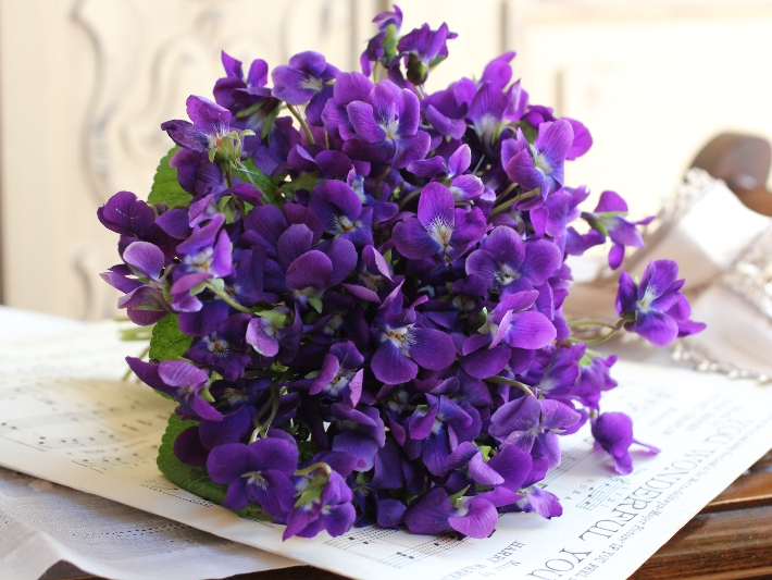 Bramble & Berry Florist