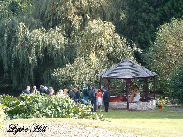 The Enchanted Harp Harpist