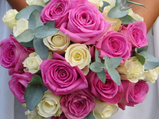 Apple Blossom Flowers & Wedding Hire