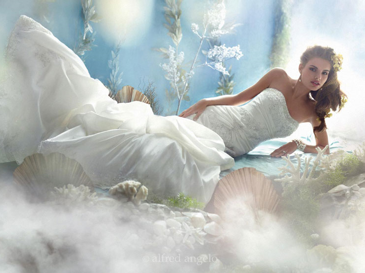 JC Brides And Grooms