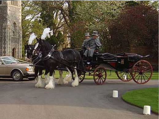 Wedding Cars In Hampshire