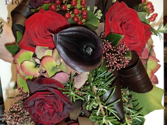 Plantology Floral Creations