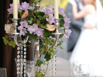 Cherish Wedding Services