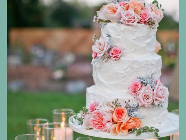 Harvey & Harvey Photography