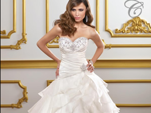 Celebrations Bridal House