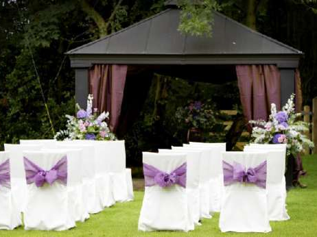 The Sports Connextion