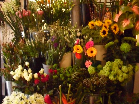 Black Orchid Floral Design