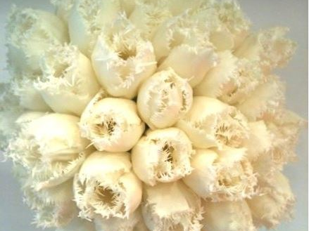 Venus Flowers Manchester