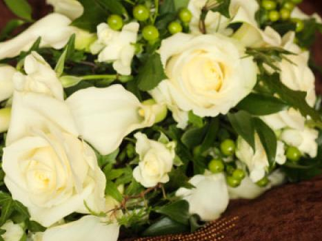 Orchis Floral Design