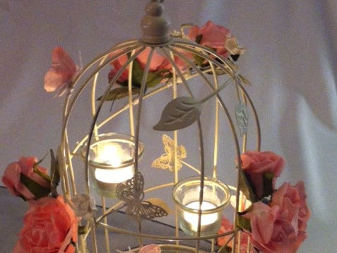 Wonderland Chair Covers