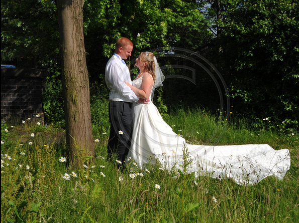 Dave Joicey Photography