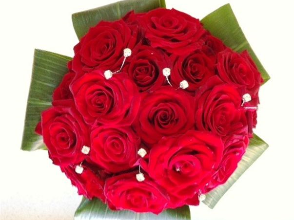 Marianne Clarke Flowers