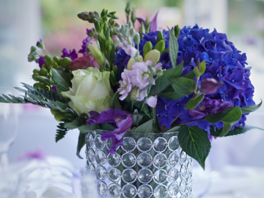 Beatific Wedding & Party Supplies