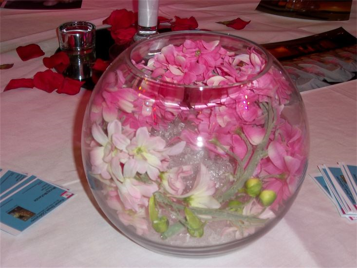 Forever Dream Celebrations