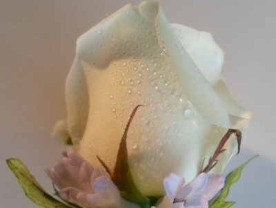 The Floral Decorator