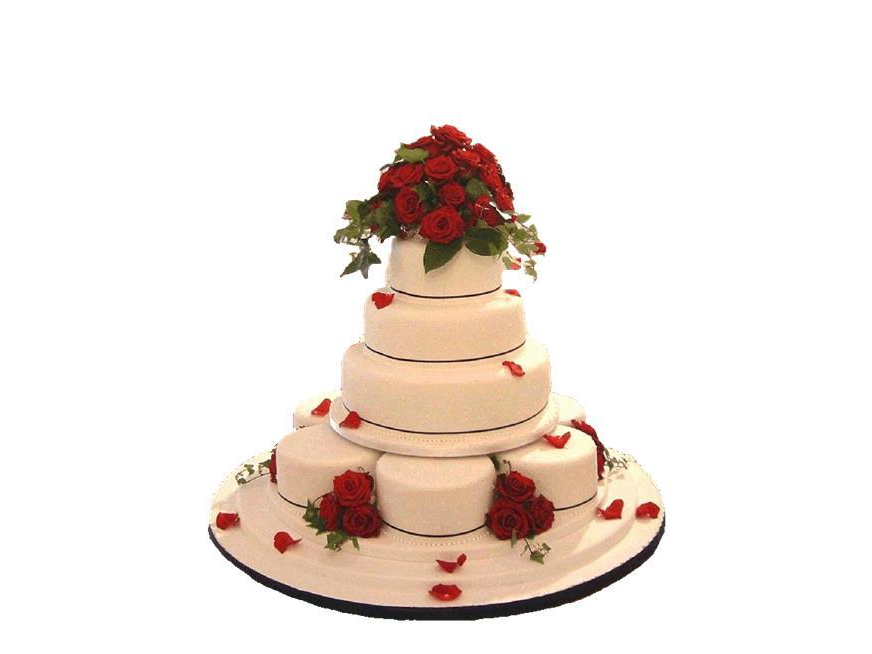 Slattery's Patissier & Chocolatier