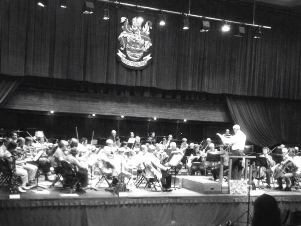 AnnaKate Pearson MMus Harpist