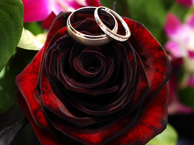 Hand In Hand Weddings