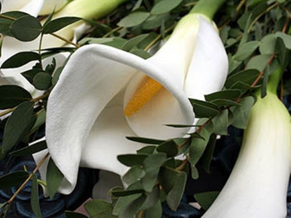 Weddings By Engagement