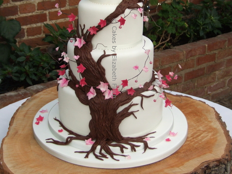 Cakes By Elizabeth Finch