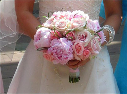 Flowers by Fiona Halliburton