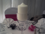 Elegant Covers & Bows