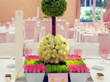 The Olive Grove Design Team