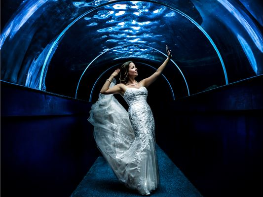 The Clifton Pavilion, Bristol Zoo Gardens