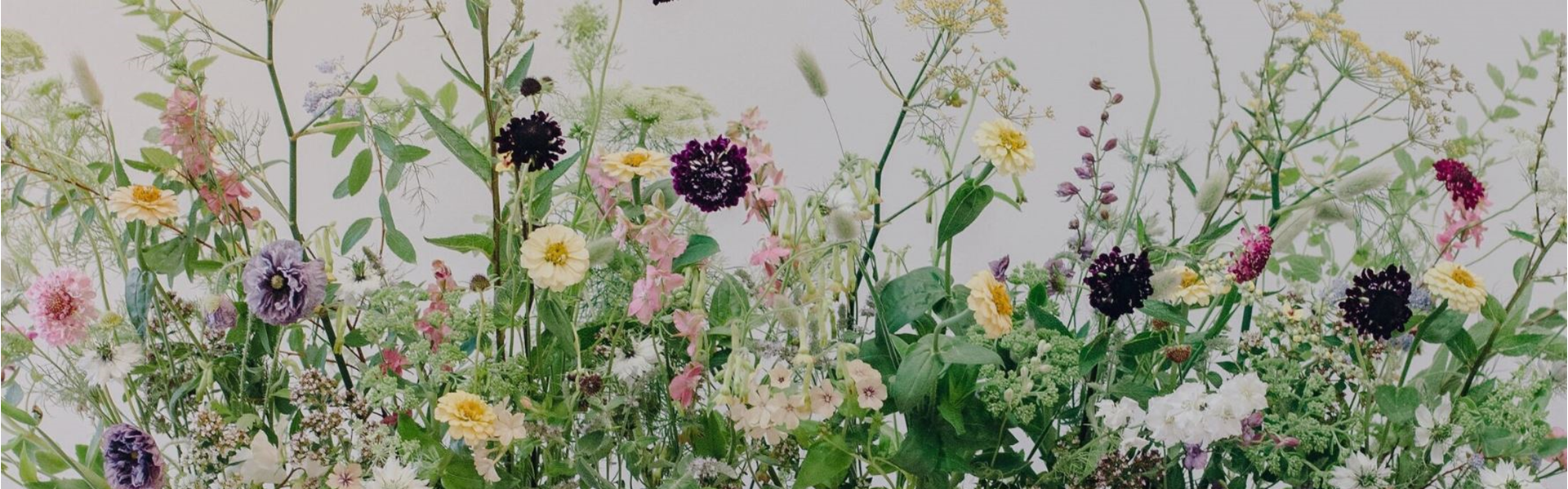 Florette Wedding Flowers