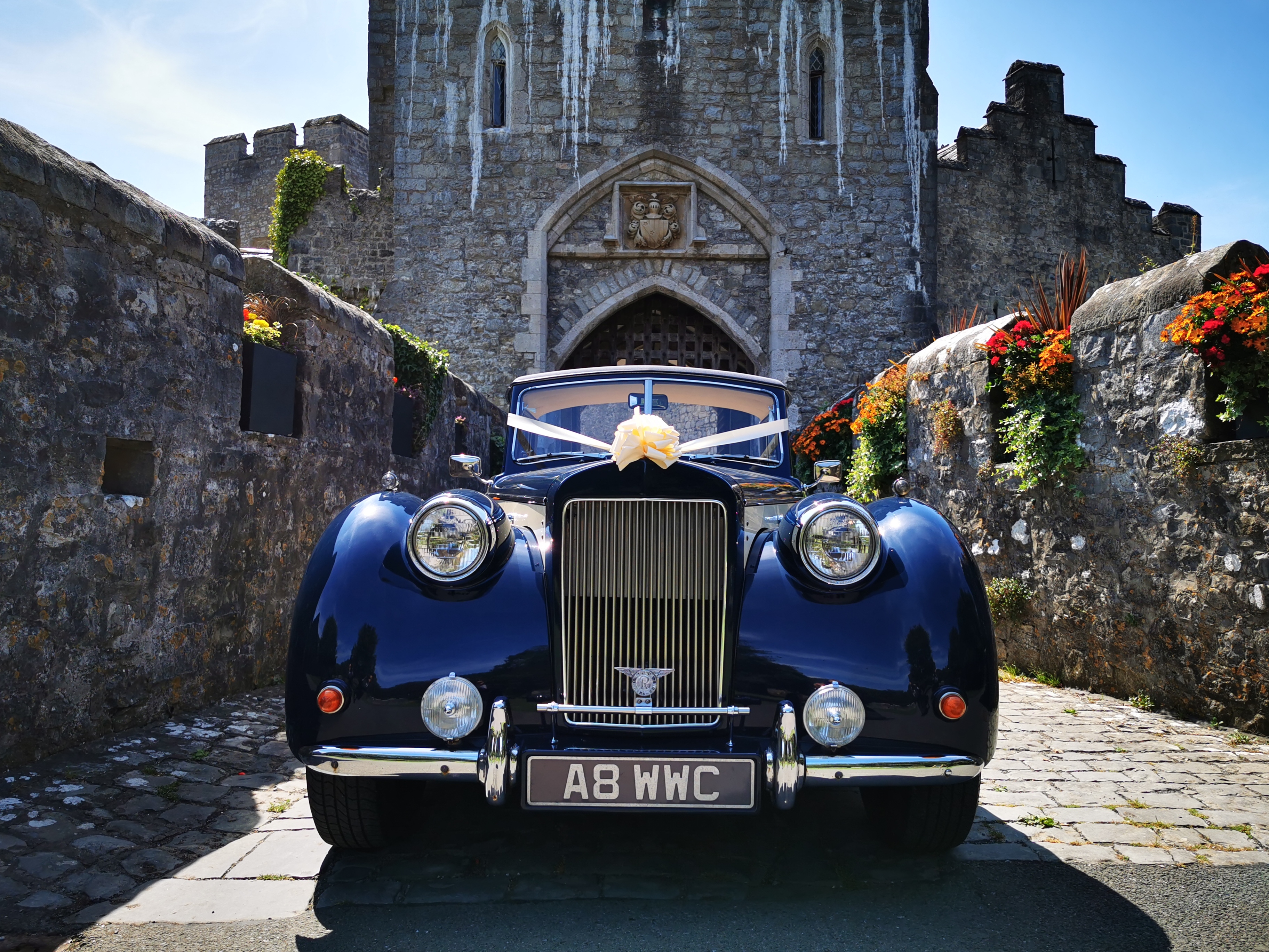 0b21a9ca-6a1d-4d52-ae9a-23e22b62fa32-009 (2).jpg