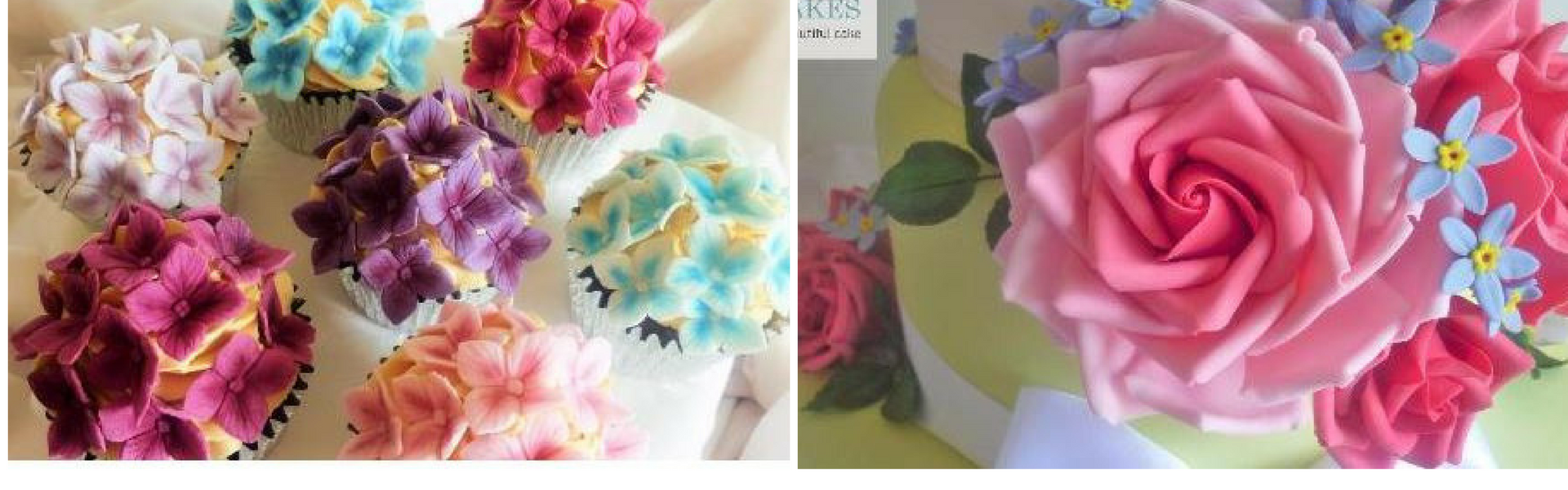 5253e2c4-07c7-4a5d-ad3a-cb3545cfff4f-Untitled design.png